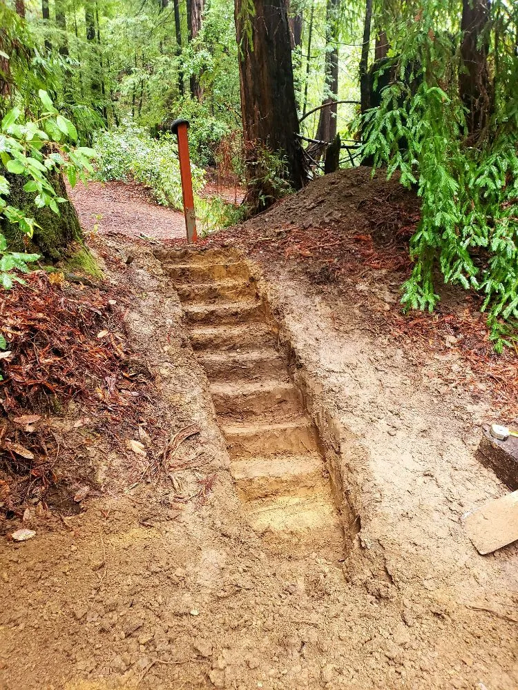 Trusted lawn care service in Boulder Creek, CA - Simple Wonders Landscape and Design