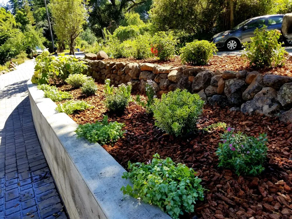 Professional yard maintenance in Boulder Creek, CA by Simple Wonders Landscape and Design