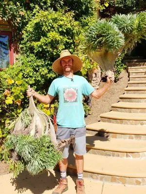 Simple Wonders Landscape and Design