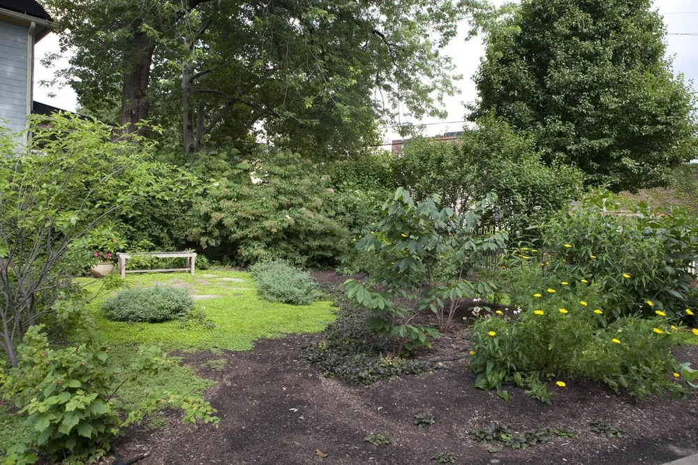 Trusted lawn mowing service for beautiful yards across Cleveland, OH - Simple Yard Care