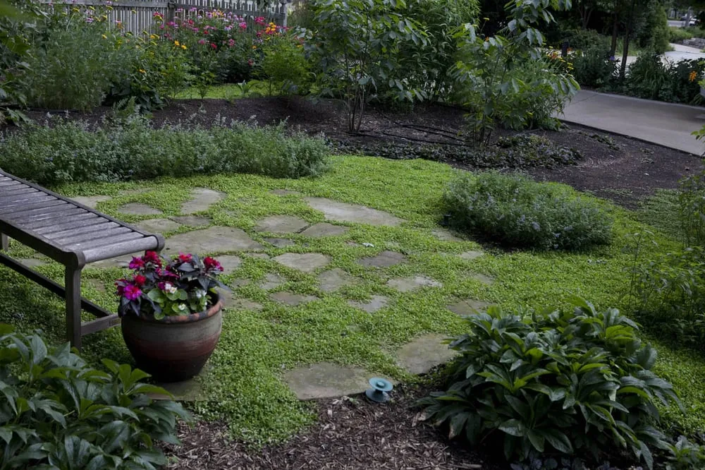 Top-rated yard maintenance with custom design in Cleveland, OH by Simple Yard Care