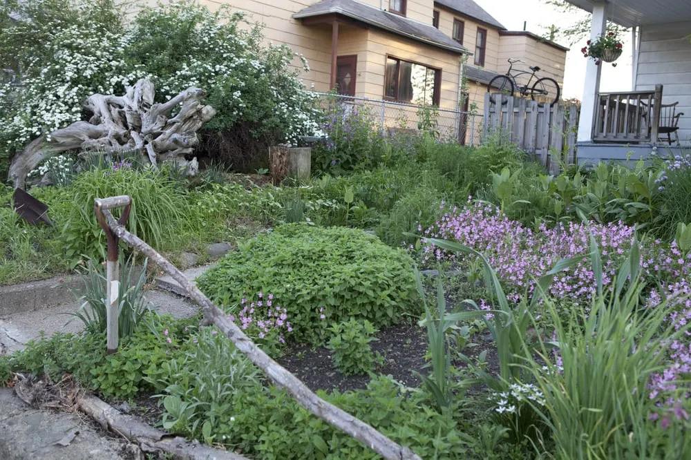 Affordable lawn mowing service for beautiful yards across Cleveland, OH - Simple Yard Care