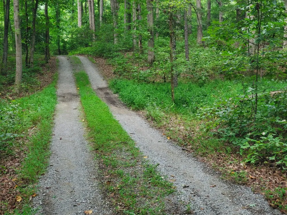 Local yard maintenance for outdoor upgrades in Rockville, VA by Simple Yard Works