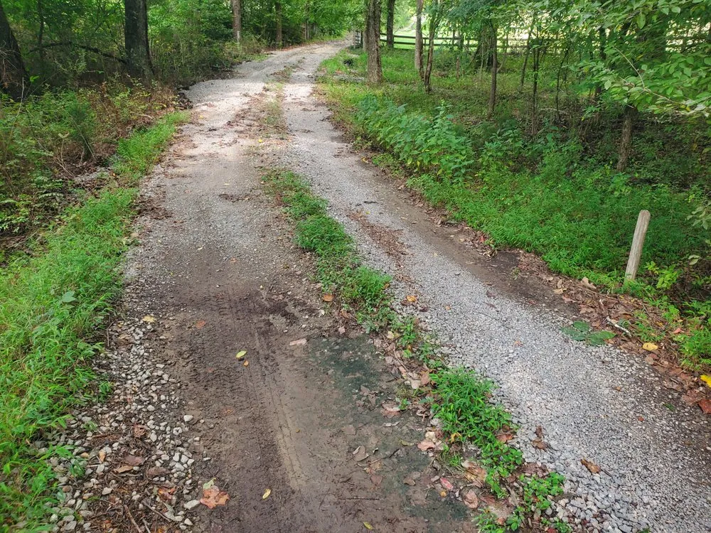 Trusted landscaping services for outdoor upgrades in Rockville, VA by Simple Yard Works