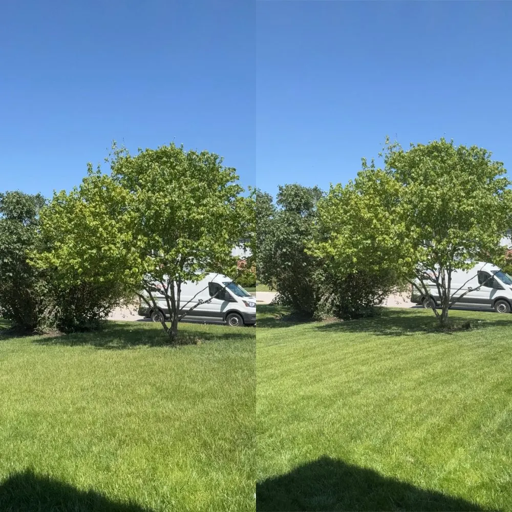 Local yard maintenance in West Chester Township, OH by SimpleGreen Landscaping