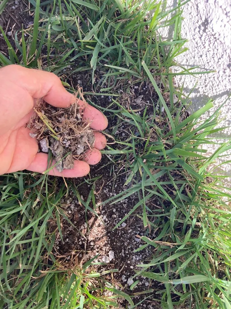 Top-rated garden landscaping experts serving Lemon Grove, CA - SimpleScape Lawn & Garden Maintenance