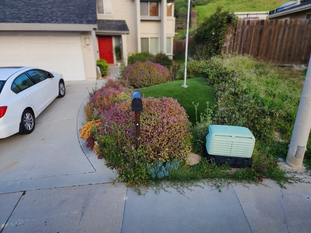 Trusted lawn mowing service for residential properties in Lemon Grove, CA by SimpleScape Lawn & Garden Maintenance