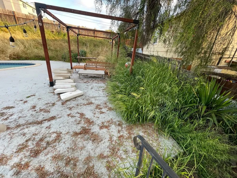 Expert yard maintenance in Lemon Grove, CA by SimpleScape Lawn & Garden Maintenance