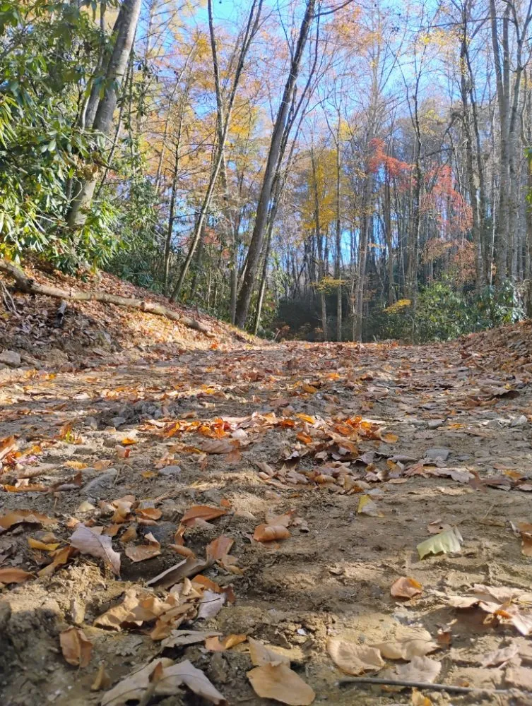 Professional garden landscaping for residential properties across Burnsville, NC - SimpleScapes