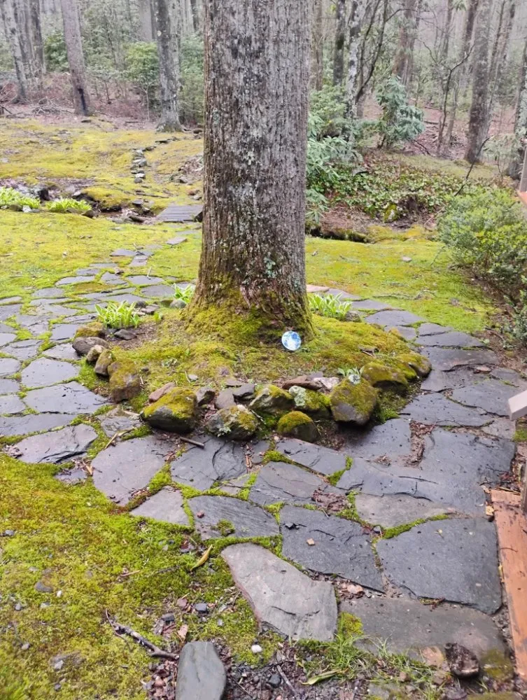 Professional yard cleanup service for beautiful yards in Burnsville, NC by SimpleScapes