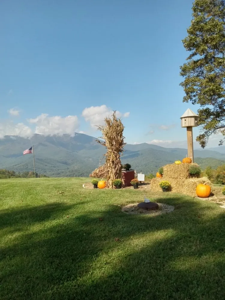 Professional outdoor landscaping for residential properties across Burnsville, NC - SimpleScapes