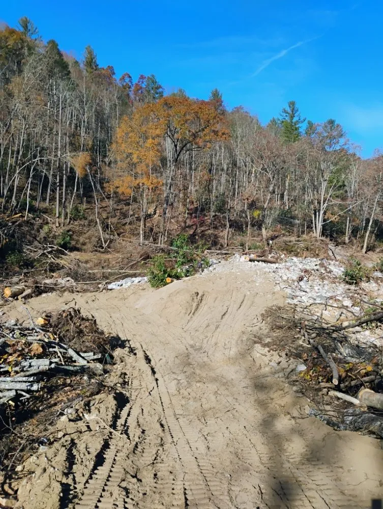 Professional landscape design in Burnsville, NC by SimpleScapes