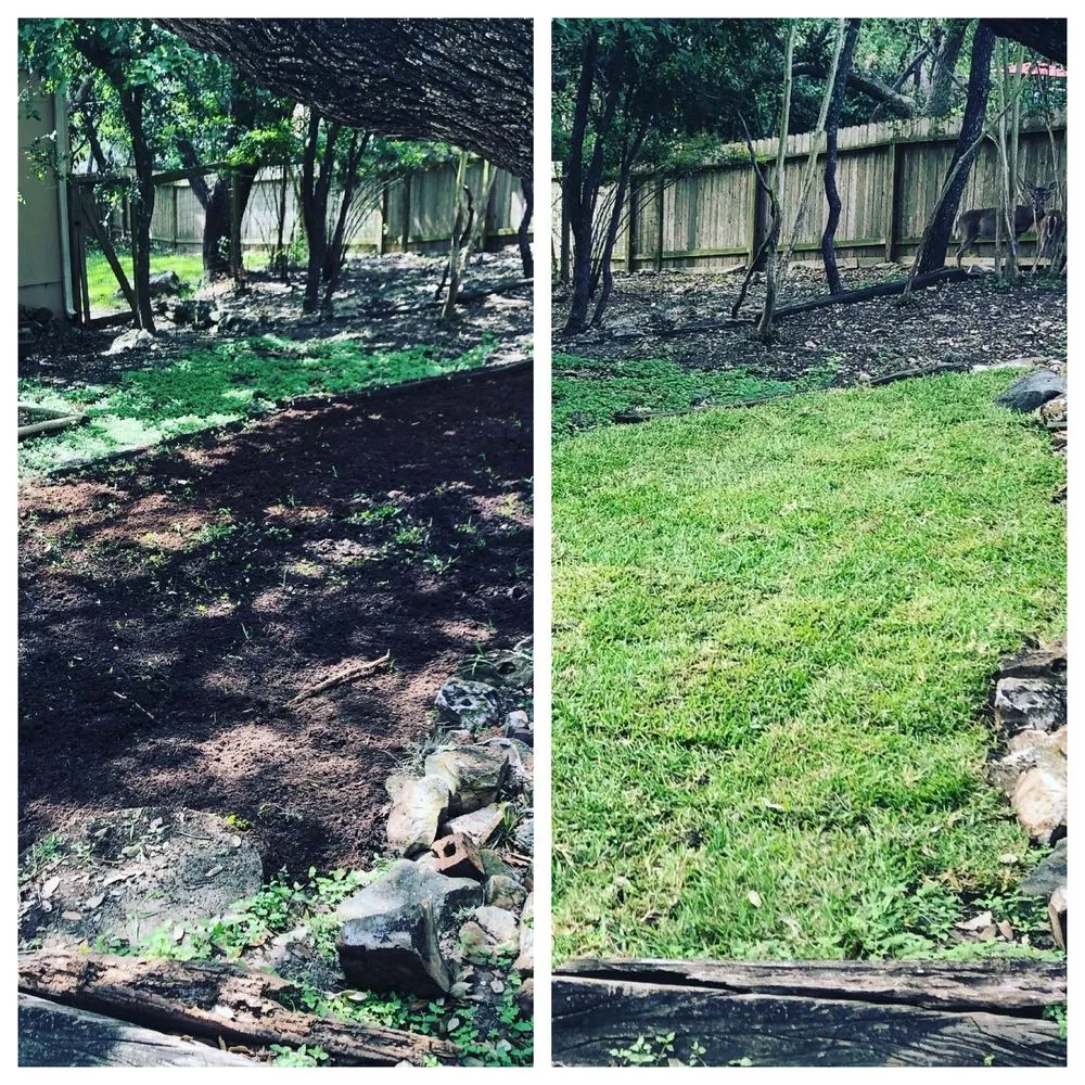 Top-rated residential landscaping for homes in San Antonio, TX by SimpleScaping