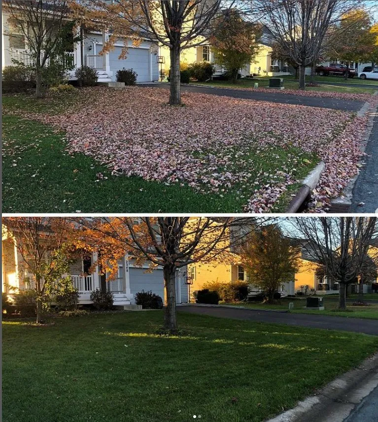 Affordable landscape installation for beautiful yards across Blaine, MN - Simplex Lawn Care