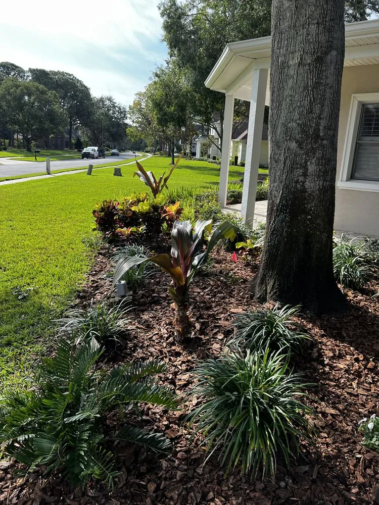 Local garden landscaping in Tarpon Springs, FL - Simplicity Landcare Solutions