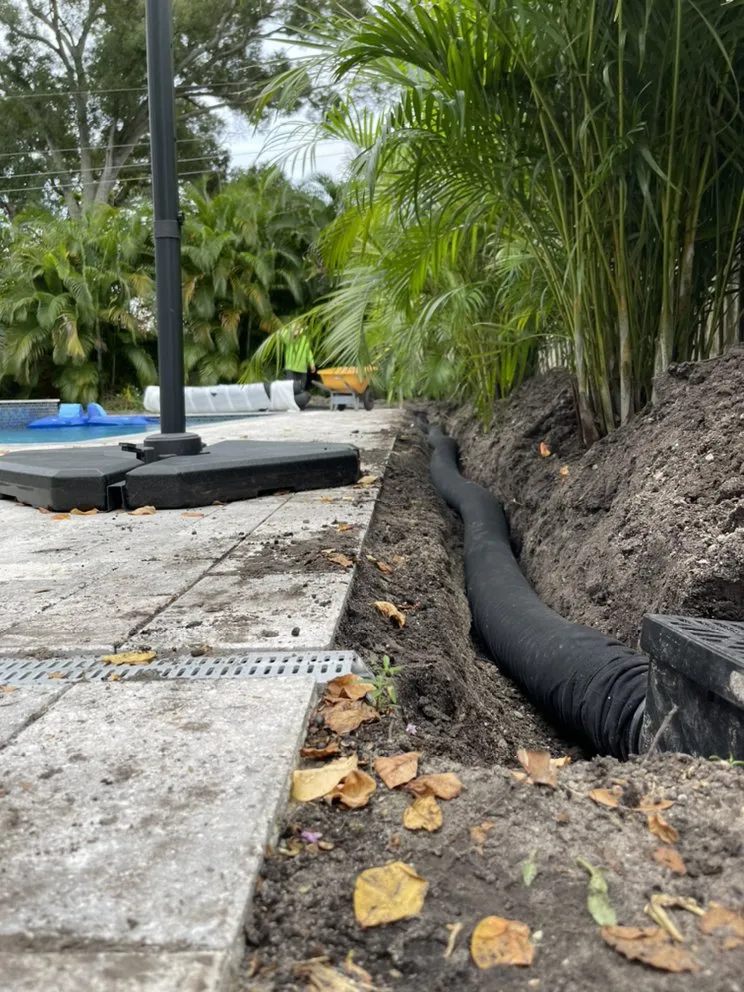 Top-rated lawn care service in Tarpon Springs, FL by Simplicity Landcare Solutions