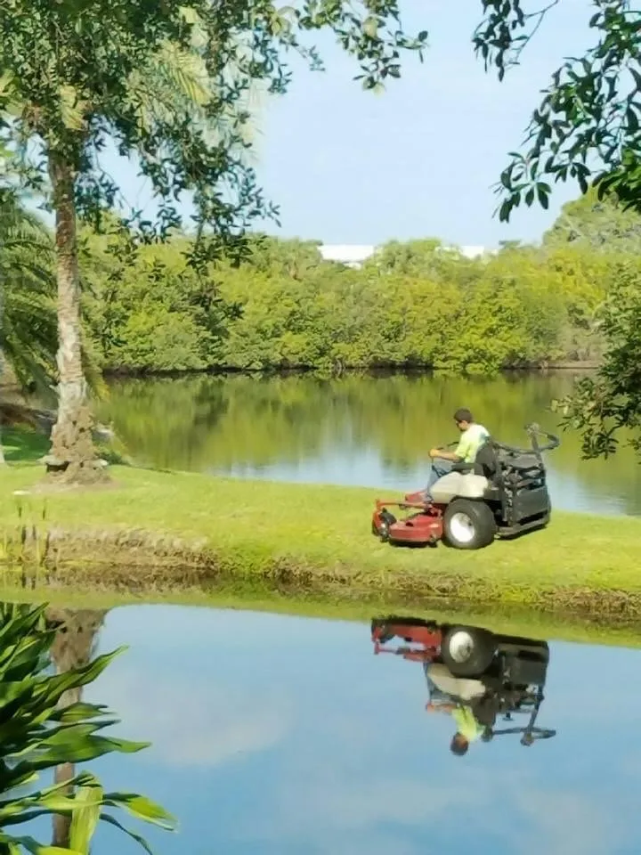 Custom outdoor landscaping experts serving Tarpon Springs, FL - Simplicity Landcare Solutions