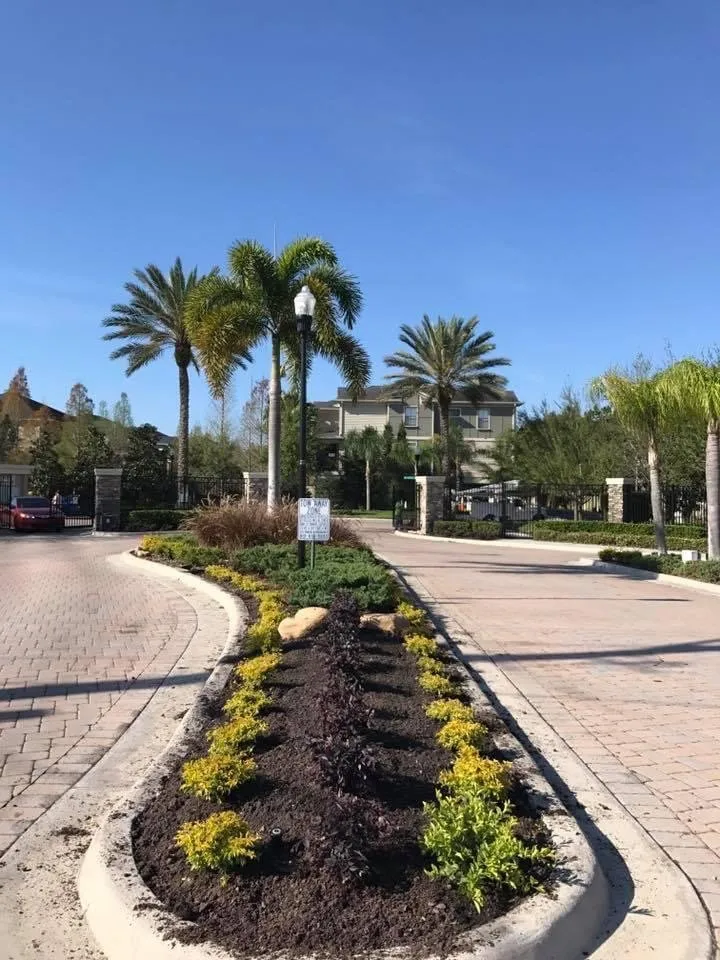 Professional lawn care service for homes across Tarpon Springs, FL - Simplicity Landcare Solutions