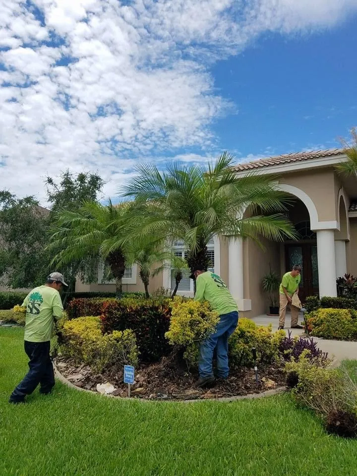 Affordable yard maintenance in Tarpon Springs, FL - Simplicity Landcare Solutions