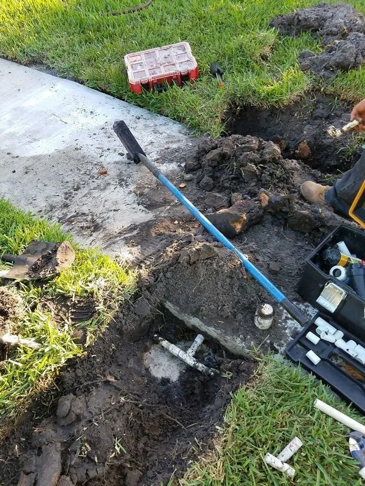 Local lawn care service for beautiful yards in Tarpon Springs, FL by Simplicity Landcare Solutions