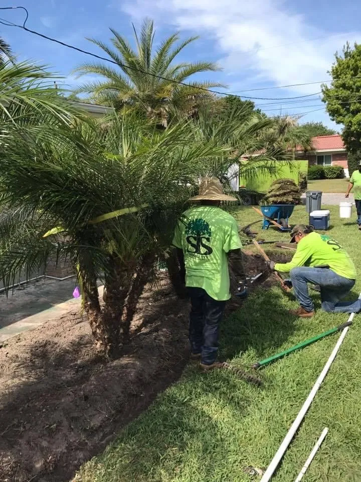 Expert yard cleanup service for residential properties in Tarpon Springs, FL by Simplicity Landcare Solutions
