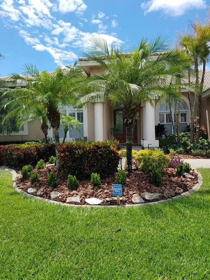 Top-rated outdoor landscaping experts serving Tarpon Springs, FL - Simplicity Landcare Solutions