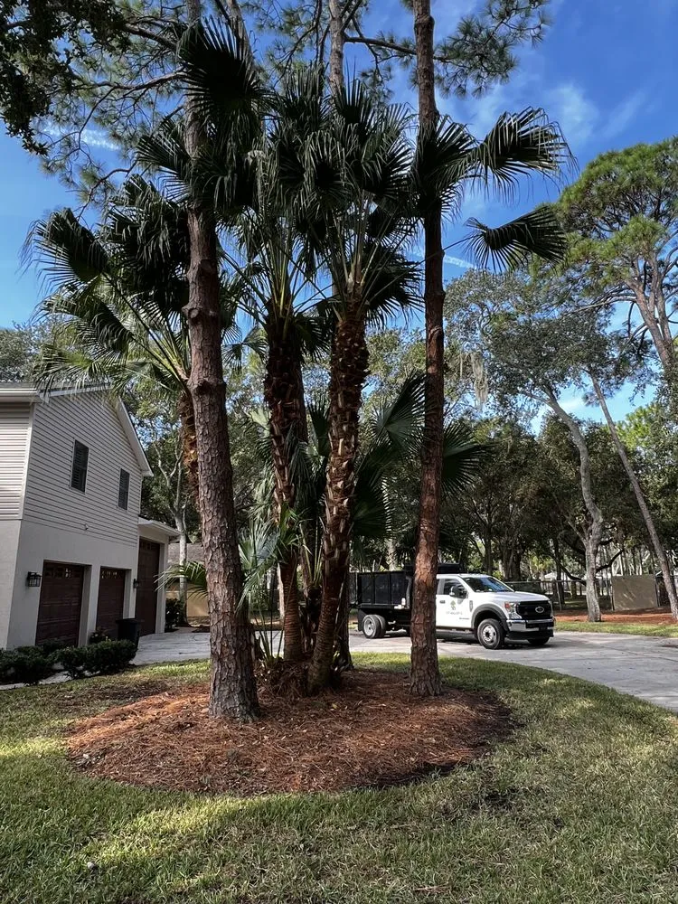 Reliable lawn care service in Tarpon Springs, FL - Simplicity Landcare Solutions