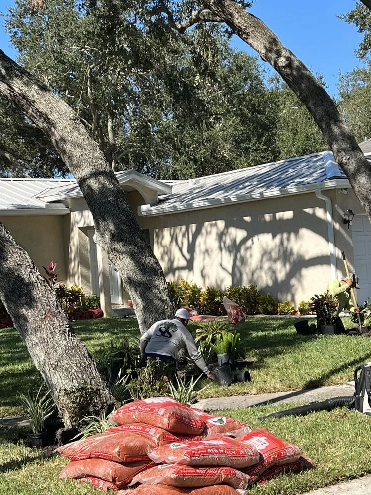 Trusted outdoor landscaping in Tarpon Springs, FL by Simplicity Landcare Solutions