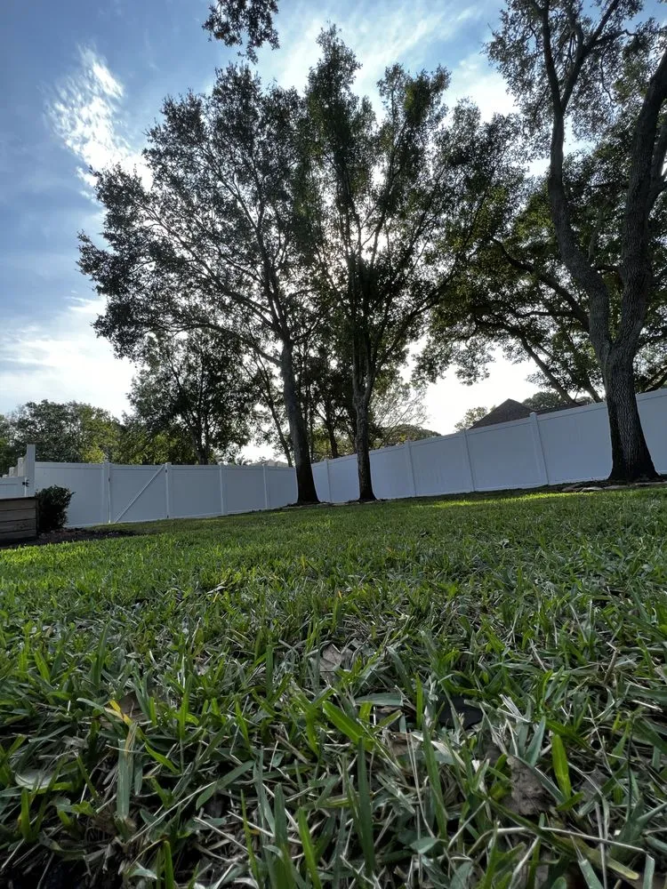 Trusted residential landscaping with custom design across Tarpon Springs, FL - Simplicity Landcare Solutions