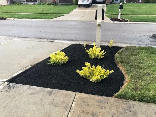 Affordable yard cleanup service in Middletown, OH by Simplicity Lawn and Landscaping