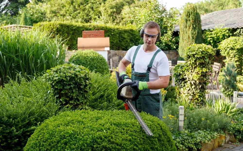 Local landscape installation in Wilmington, NC - Simplified Group