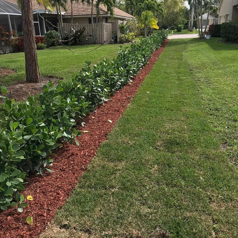 Local garden landscaping in Jupiter, FL - Simplified Landscape and Lighting