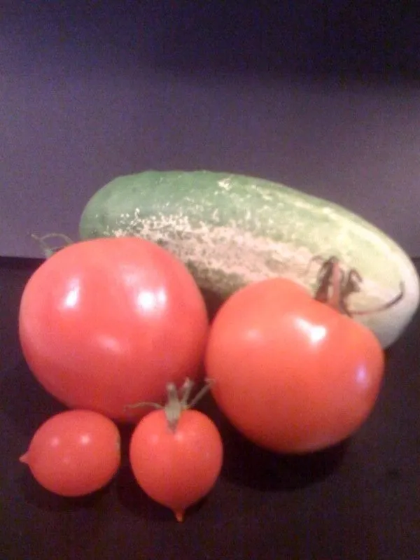 Top-rated landscaping services for homes across Honomu, HI - Simply Aquaponics