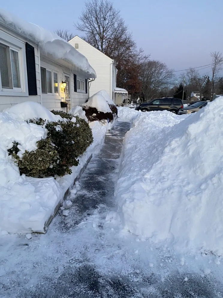 Trusted landscaping services in New York, NY - Simply Chores