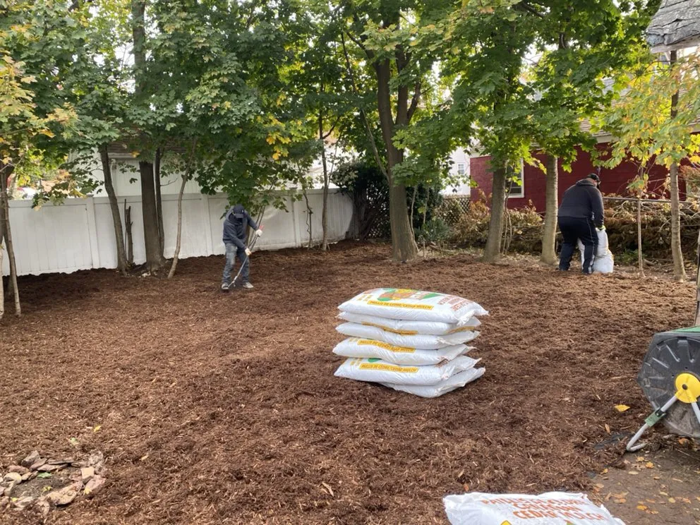 Affordable yard cleanup service experts serving New York, NY - Simply Chores