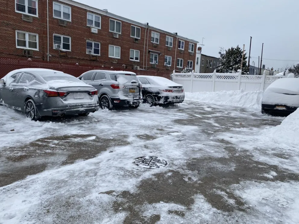 Local landscape design in New York, NY by Simply Chores