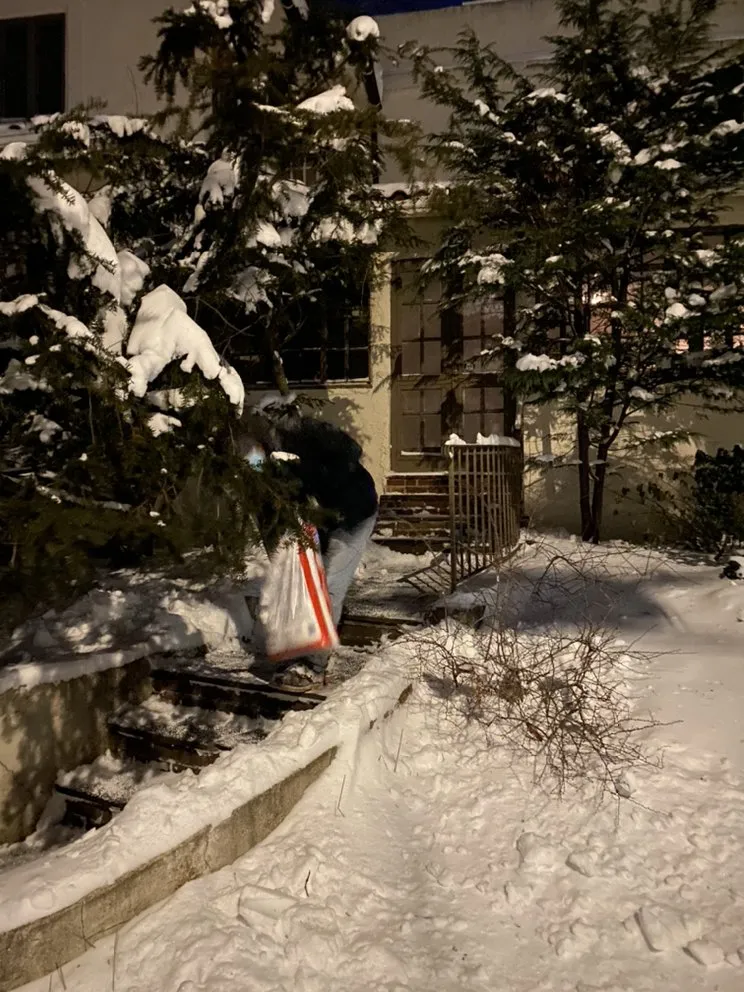 Affordable landscape design in New York, NY - Simply Chores