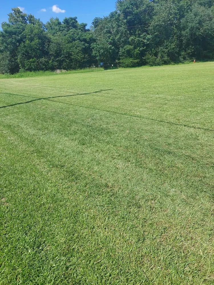 Trusted outdoor landscaping in Columbia, SC - Simply Cut Lawn Care