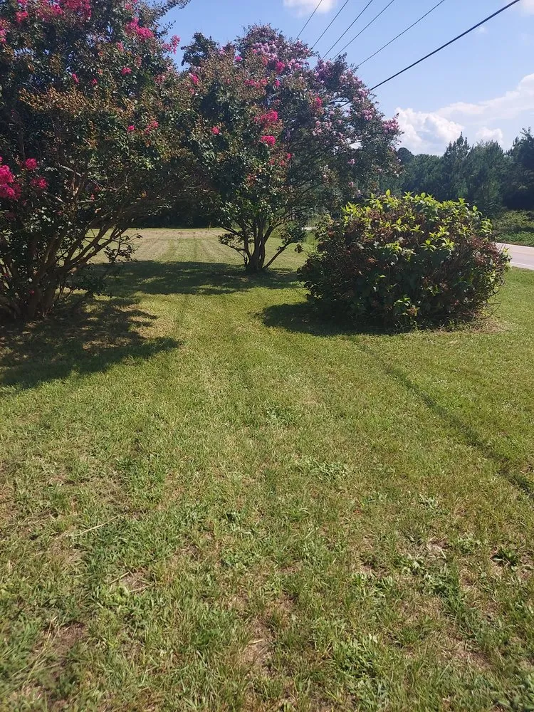 Reliable outdoor landscaping for beautiful yards across Columbia, SC - Simply Cut Lawn Care