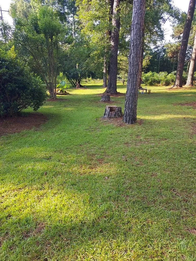 Trusted garden landscaping for beautiful yards across Columbia, SC - Simply Cut Lawn Care