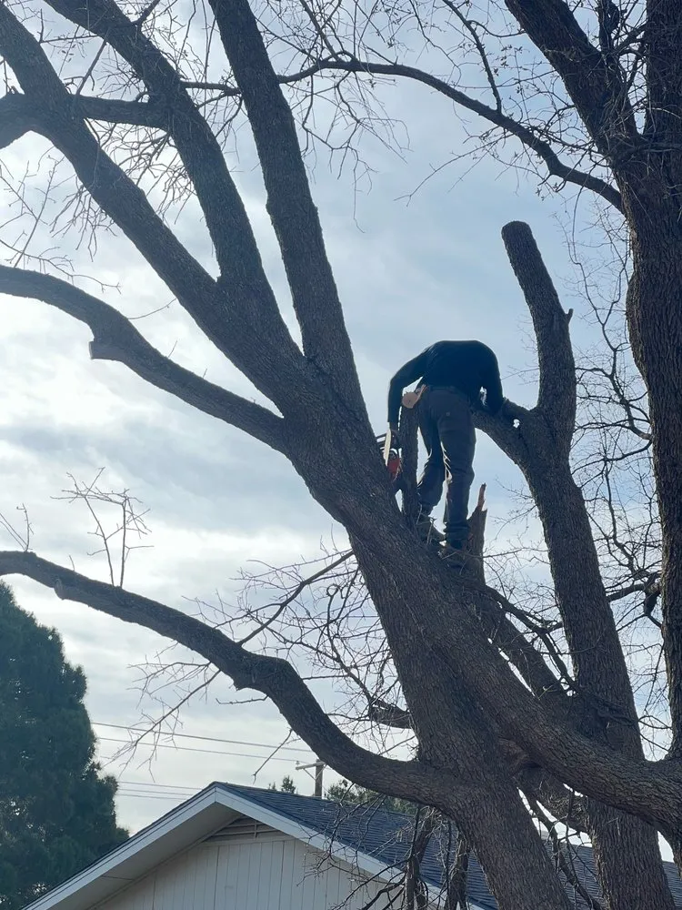 Trusted landscape design in Midland, TX by Simply Good Landscaping & Lawn Care