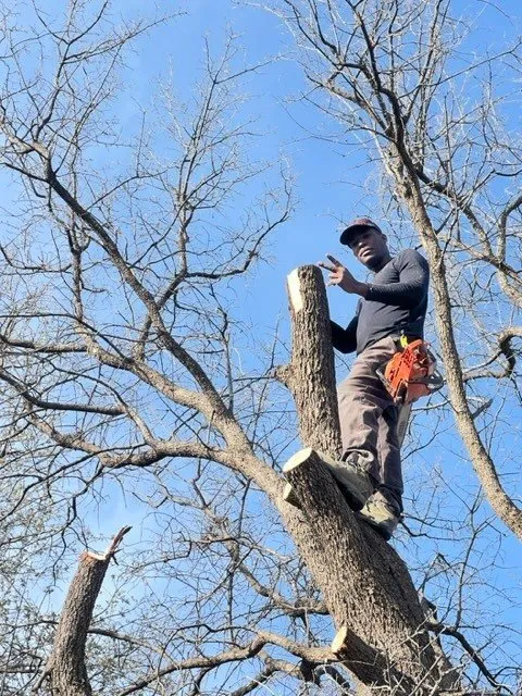 Reliable garden landscaping experts serving Midland, TX - Simply Good Landscaping & Lawn Care