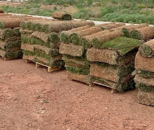 Professional residential landscaping for beautiful yards in Midland, TX by Simply Good Landscaping & Lawn Care