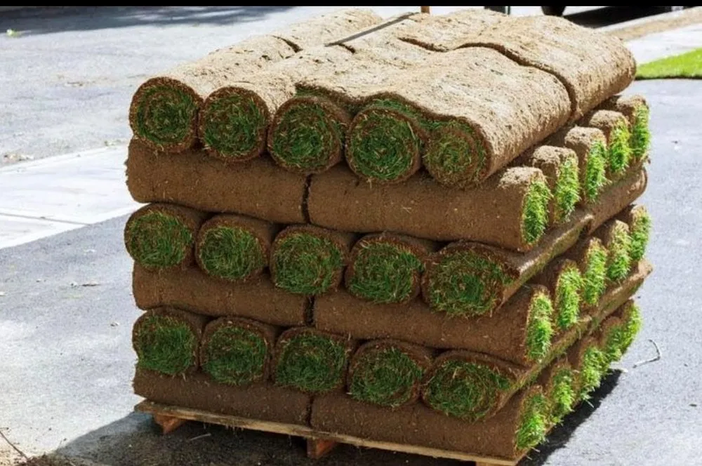 Custom garden landscaping for outdoor upgrades across Midland, TX - Simply Good Landscaping & Lawn Care