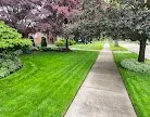 Affordable landscape installation in West Branch, MI - Simply Great Lawn Care