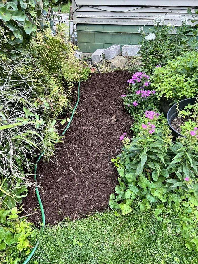 Expert lawn mowing service near you across Andover, MN - Simply Green