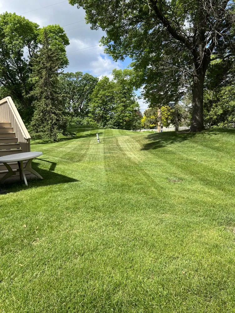 Reliable lawn care service in Andover, MN - Simply Green