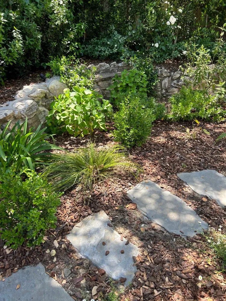 Reliable yard maintenance experts serving Chatsworth, CA - Simply Green