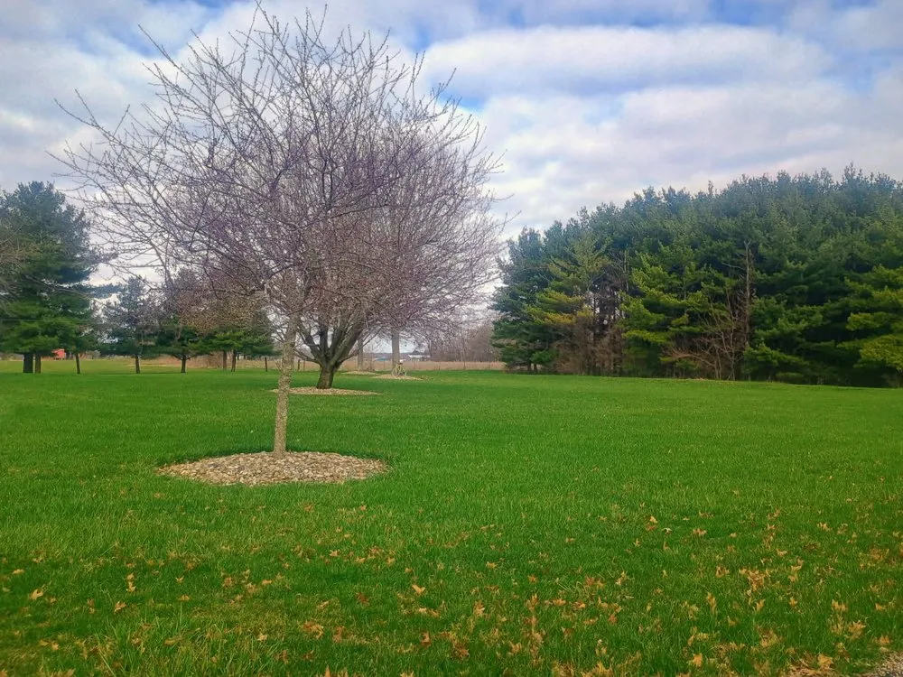 Reliable landscape installation for year-round maintenance in Marion, OH by Simply Green Fertilization