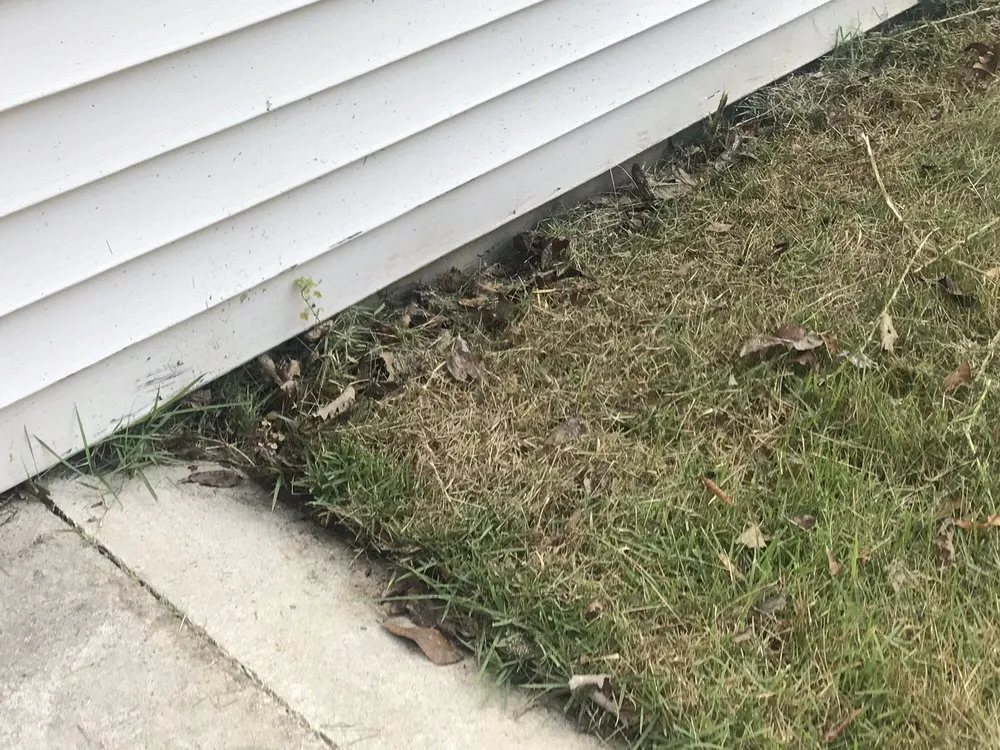 Expert yard maintenance experts serving Mount Pleasant, SC - Simply Green Landscaping